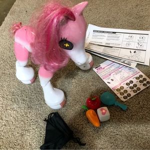 STEM show pony electronic toy